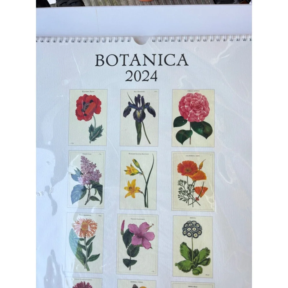 Cavallini & Co Wall Calendar 2024 Botanica Vintage Floral Art Prints New Sealed